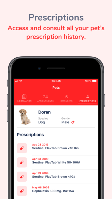 Veterinary Care at Belmont Screenshot
