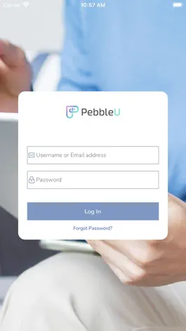 Game screenshot PebbleU mod apk