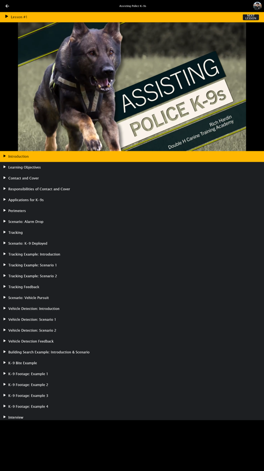 #4. Virtual_Academy (iOS) Av: Savant Learning Systems