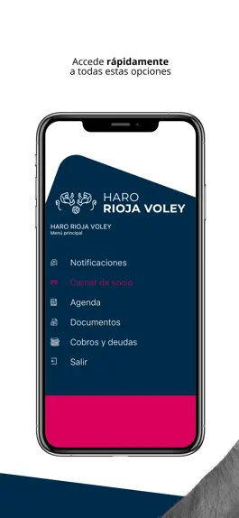 Game screenshot Haro Rioja Voley hack