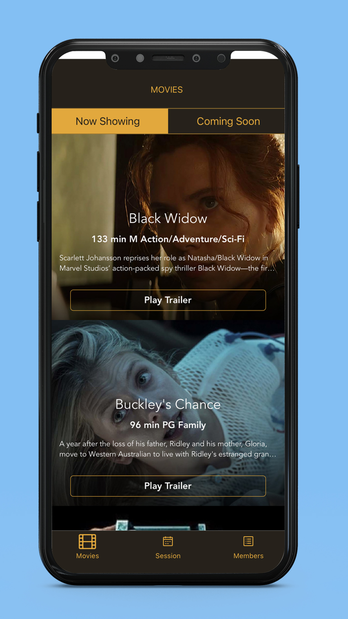 Capitol Cinema Warrnambool