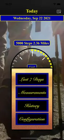 Game screenshot StepperPed -  Pedometer apk