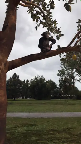 Game screenshot PostedenAR mod apk