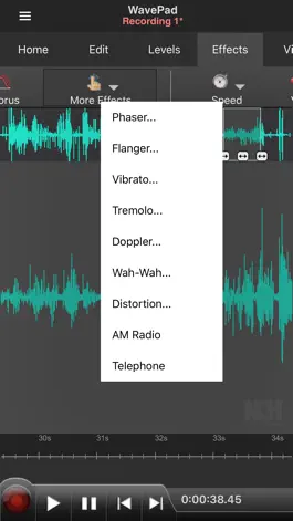 Game screenshot WavePad Master's Edition hack