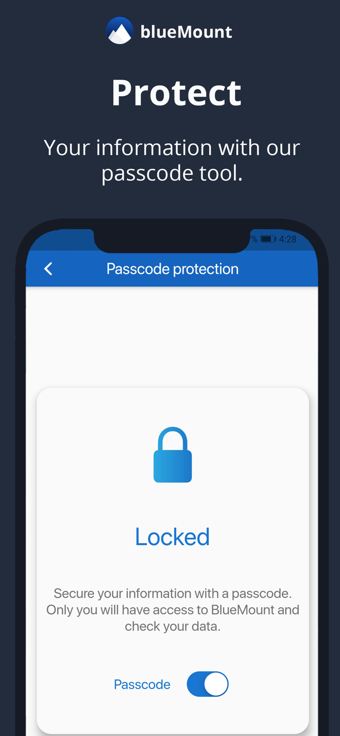 BlueMount - Money manager