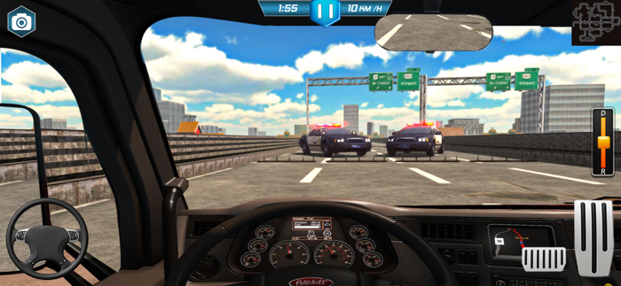 Police Car Gangster simulator