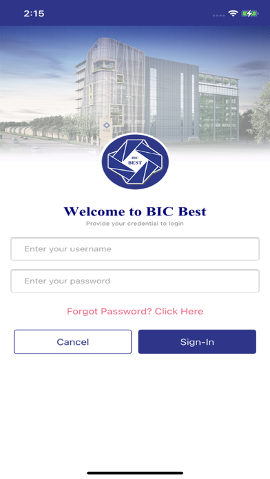 BIC Bank Screenshot