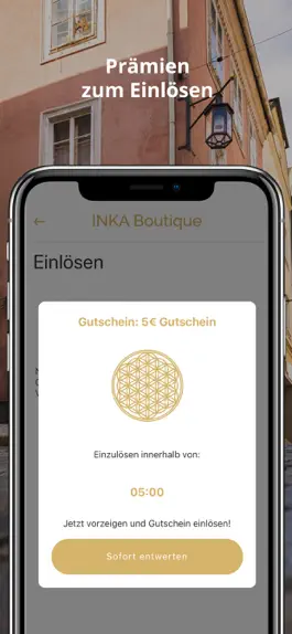 Game screenshot INKA Boutique hack