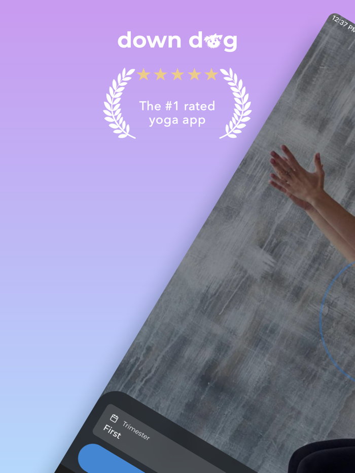 Prenatal Yoga  Down Dog