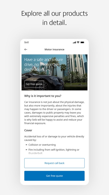 Seib Insurance & Reinsurance screenshot-3