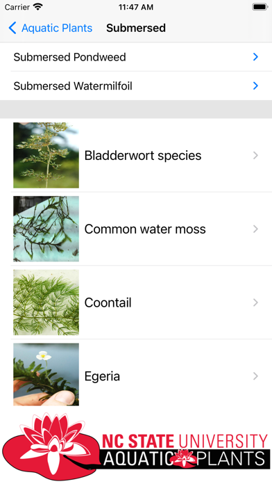 Aquatic Plants Screenshot