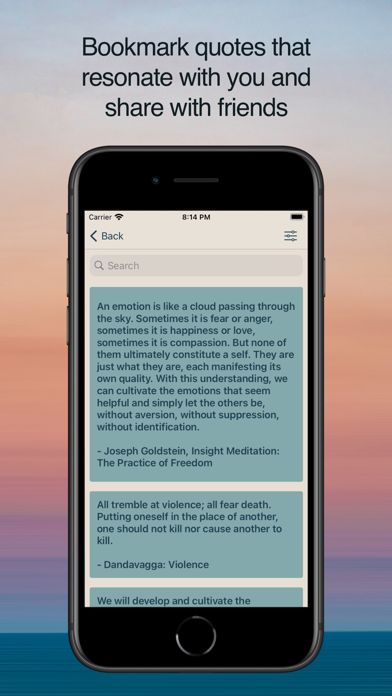 Pocket Dharma Screenshot