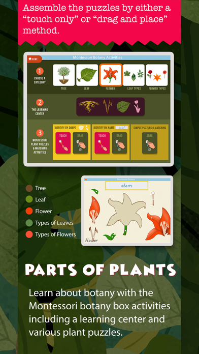 Montessori Science - School Ed Screenshot