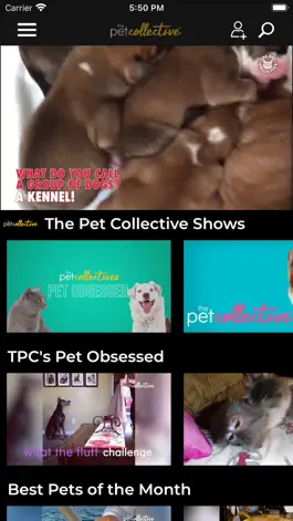 Game screenshot The Pet Collective apk