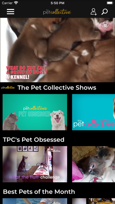 The Pet Collectiveのおすすめ画像2