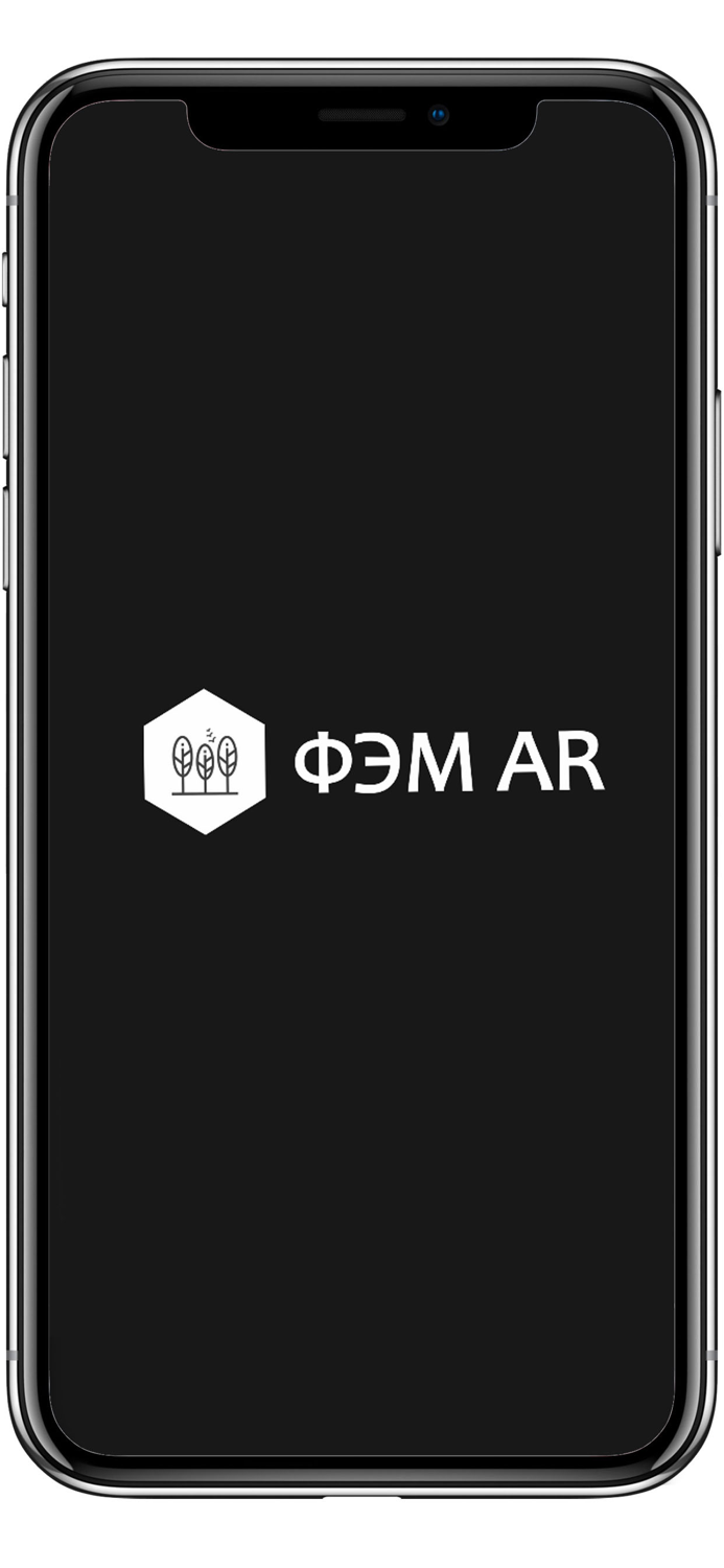 ФЭМ AR