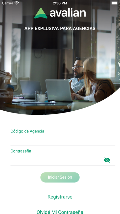 Avalian Agencias Screenshot
