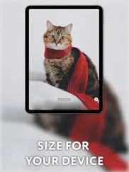 aesthetic fondos de pantalla ipad capturas de pantalla 3
