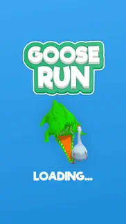 goose run! iphone screenshot 1