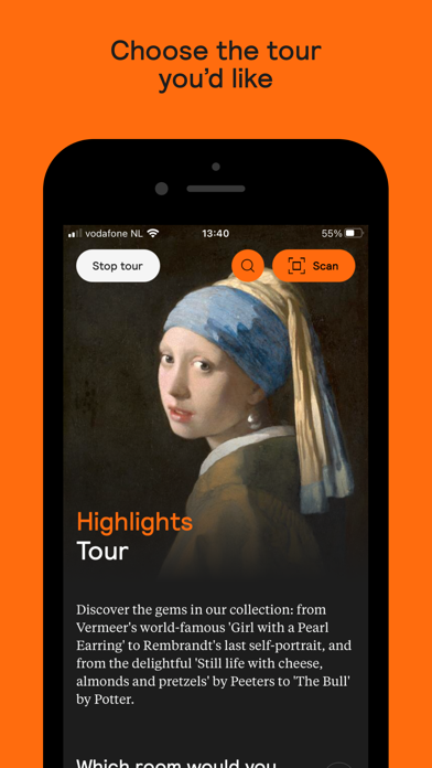 Mauritshuis screenshot 2