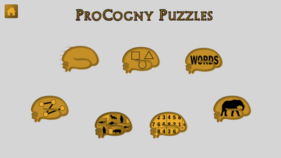 ProCogny: Memory Tracker Screenshot