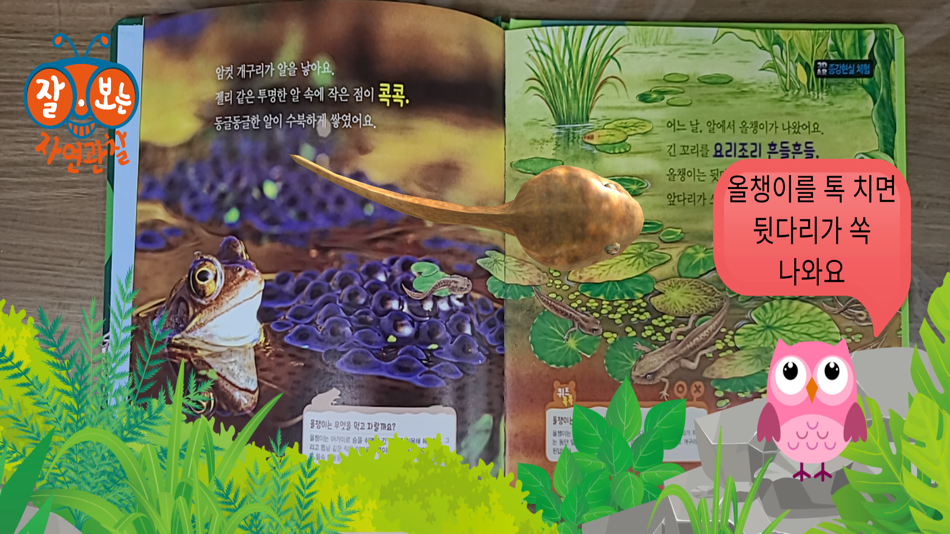 #4. 잘보는자연 (iOS) 来自: AI Friend Co., Ltd.