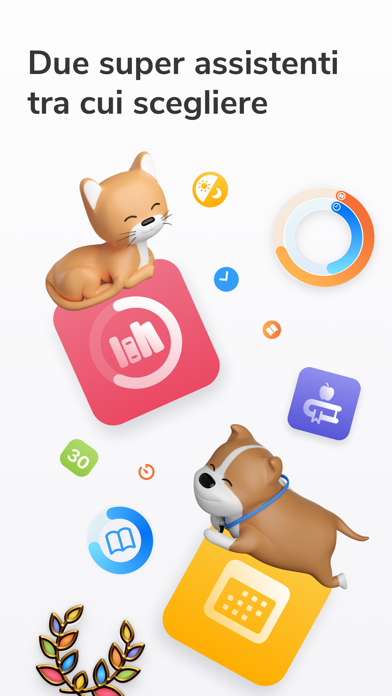 Studja Screenshot