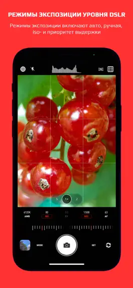 Game screenshot CameraPixels Lite hack