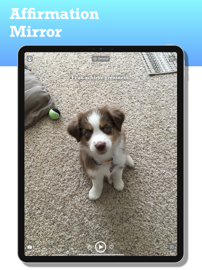 Positively Daily Affirmations