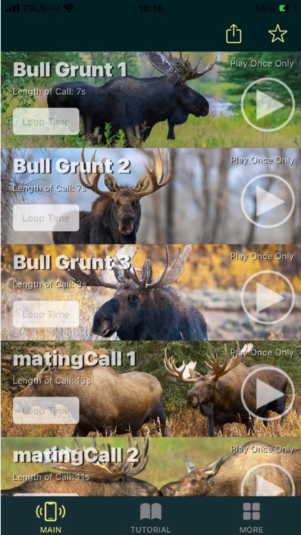 Moose Calls for Hunters screenshot-3
