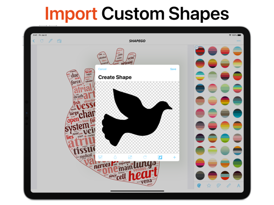 Shapego - School Edition iPad app afbeelding 7