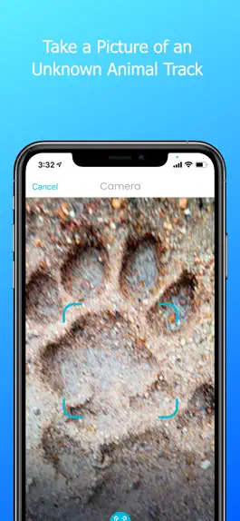 Game screenshot Animal Tracks Discovery mod apk