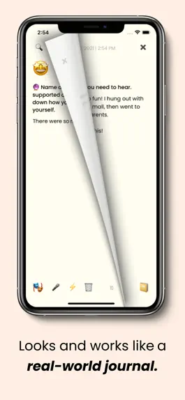 Game screenshot Poz Journal apk