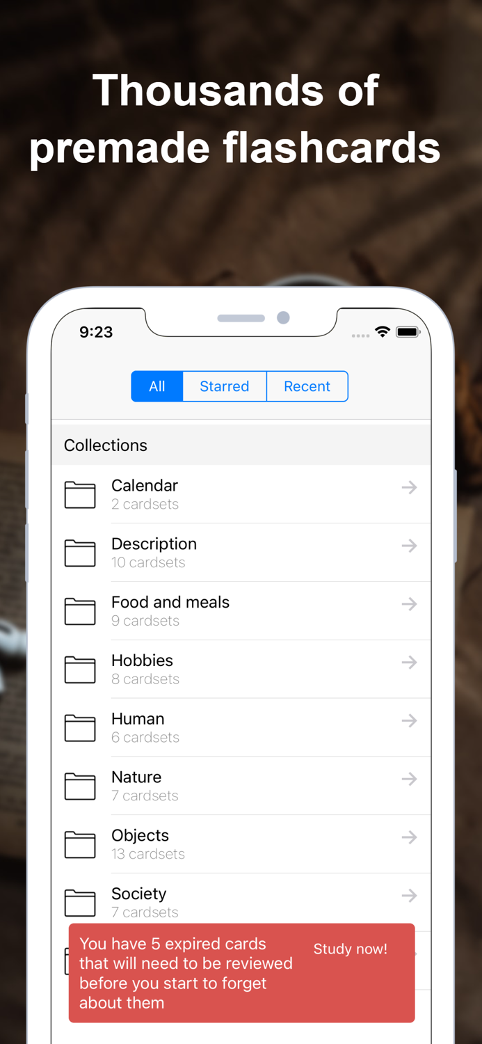 Chinese Flashcards - Voice