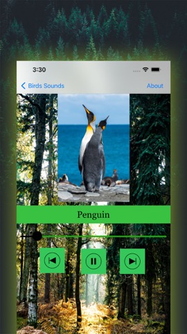 100 Bird Soundsのおすすめ画像5