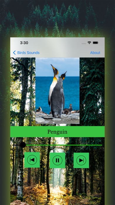 100 Bird Sounds Screenshot