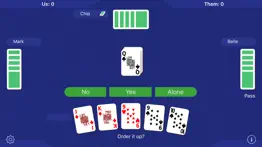 euchre ^ problems & solutions and troubleshooting guide - 4