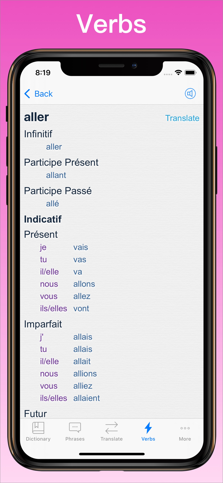 French Translator Dictionary + screenshot 6