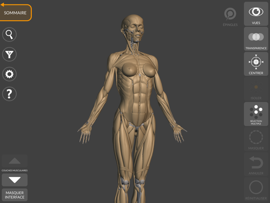Screenshot #5 pour Anatomie 3D pour l'Artiste