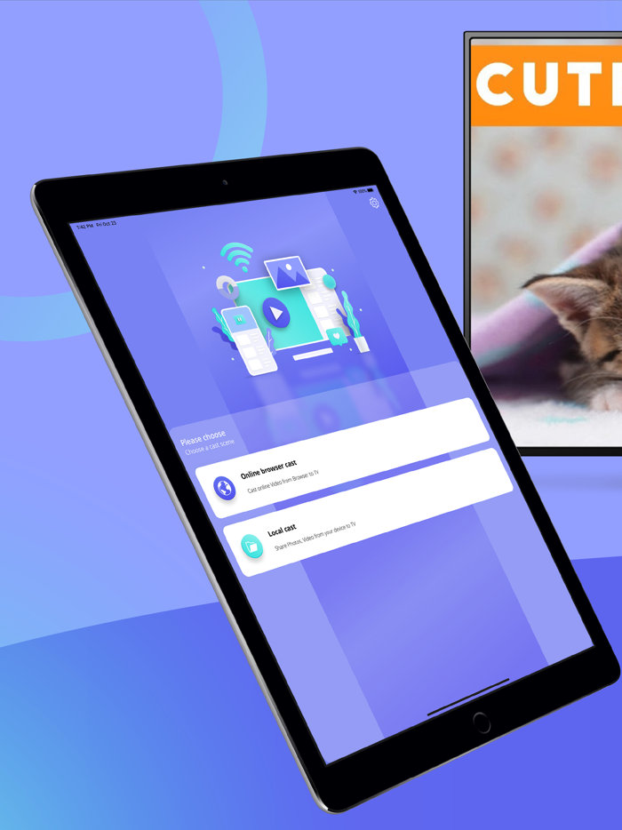Web Cast Video  Browser to TV