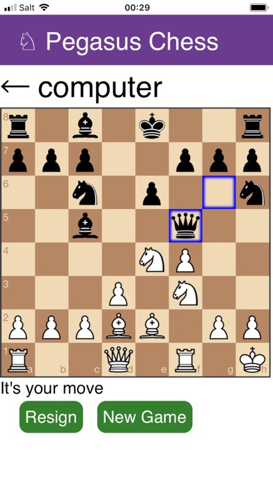 Pegasus Chess Screenshot