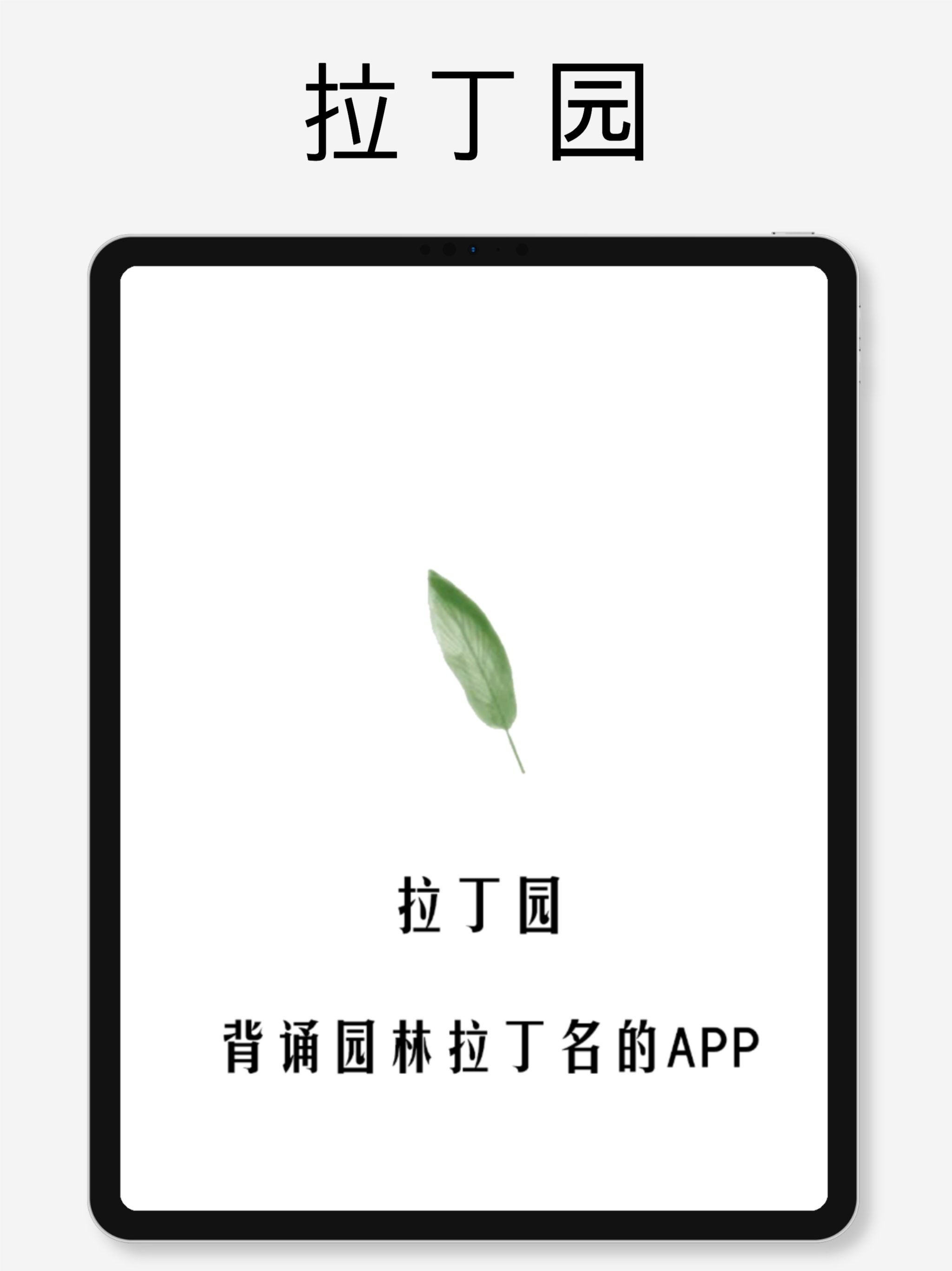 拉丁园
