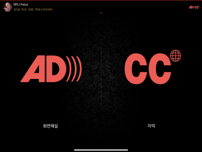 배리어프리 - 부산국제영화제
