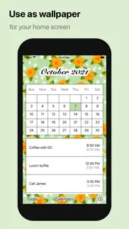 calendar hana iphone screenshot 2