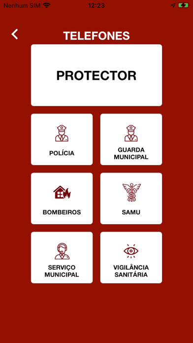 PAC Protector Screenshot