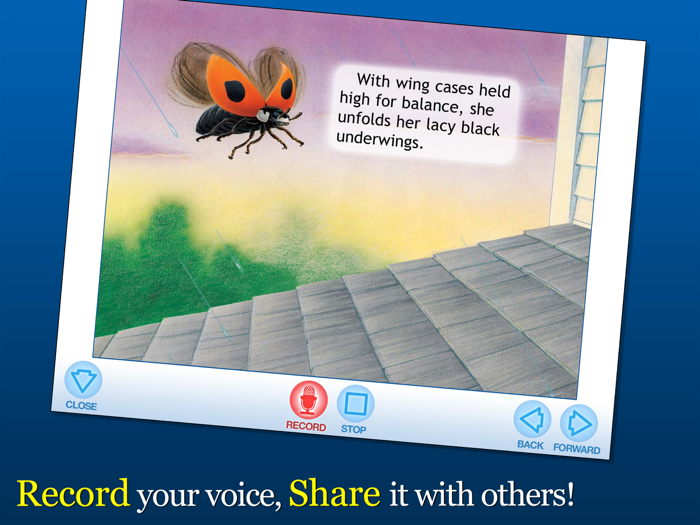 Ladybug at Orchard Avenue