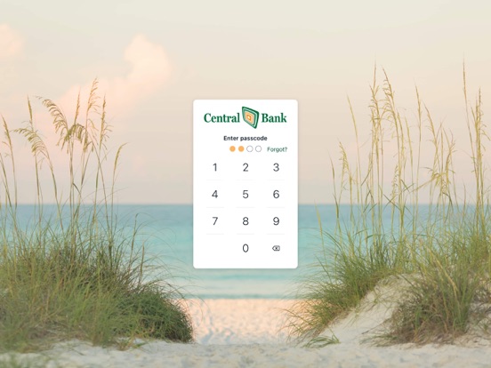 mycentralbank.mobile iPad screenshot 2 - Finance app