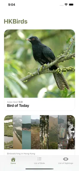 Game screenshot HKBirds: Birds of Hong Kong mod apk
