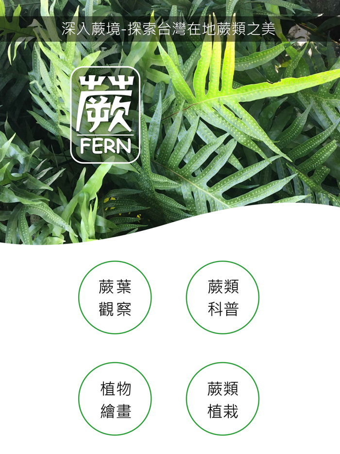 蕨FERN
