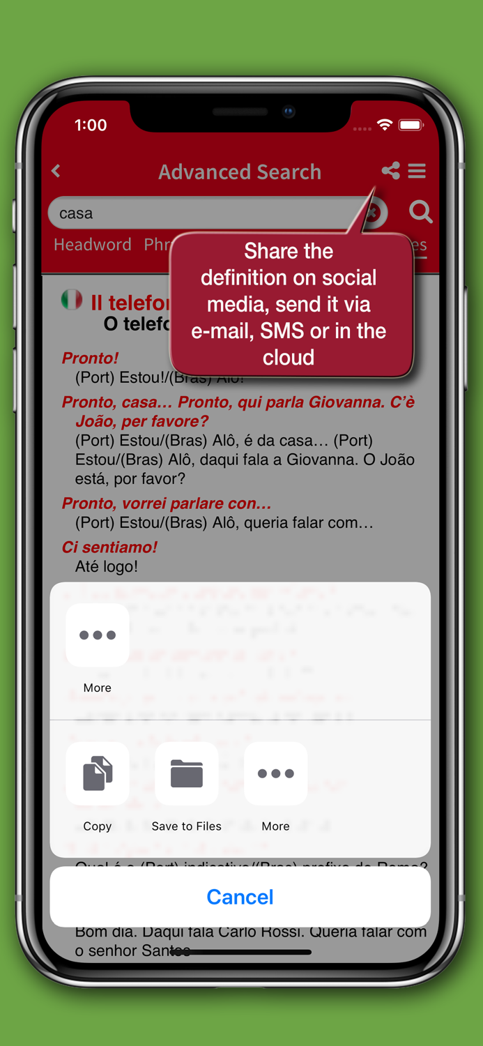 Dizionario Portoghese Hoepli